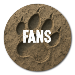 Avatars-Fans-Padfoot